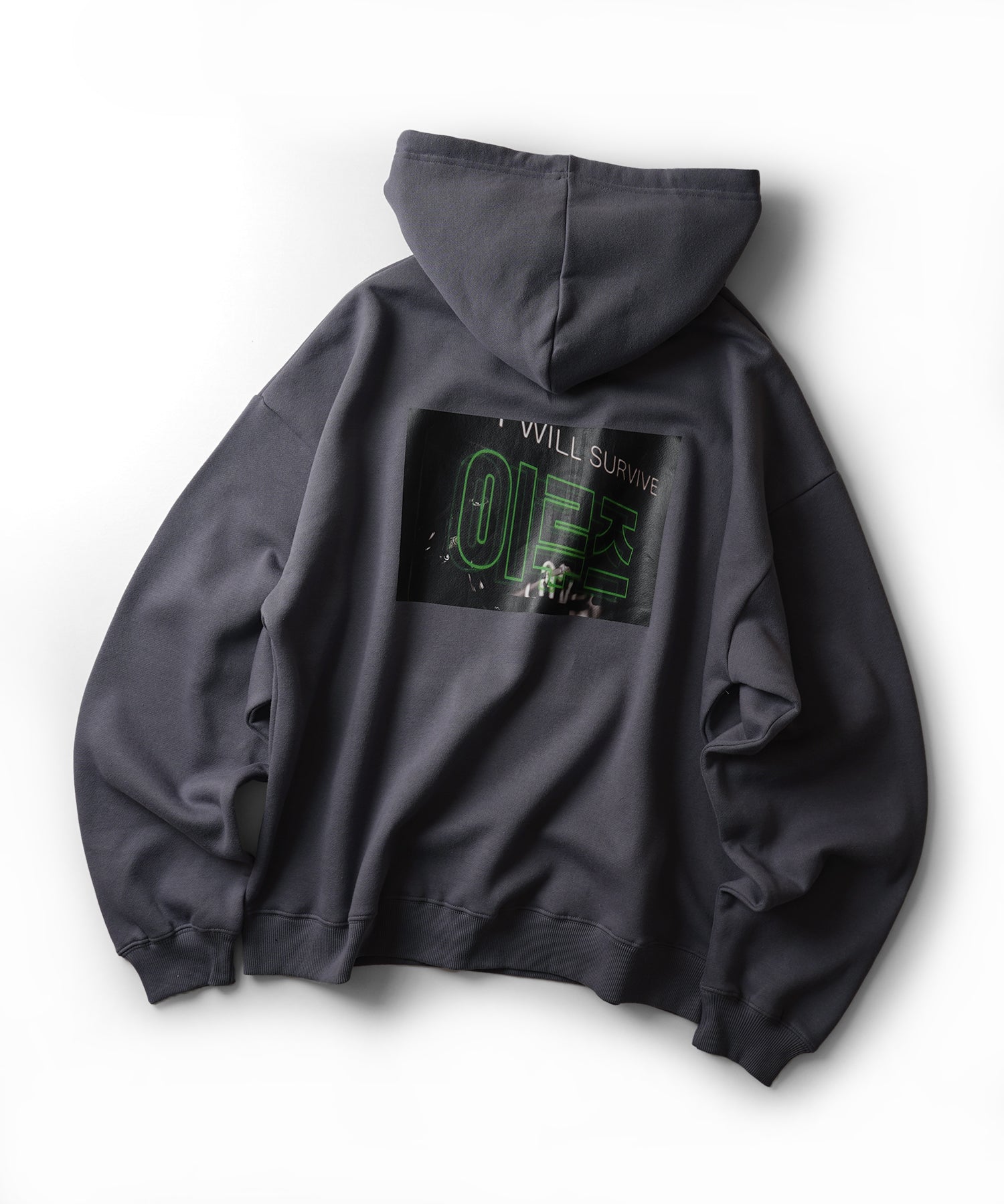 フォトプリント 韓国ストリート アソートプリントパーカー ビッグフーディー