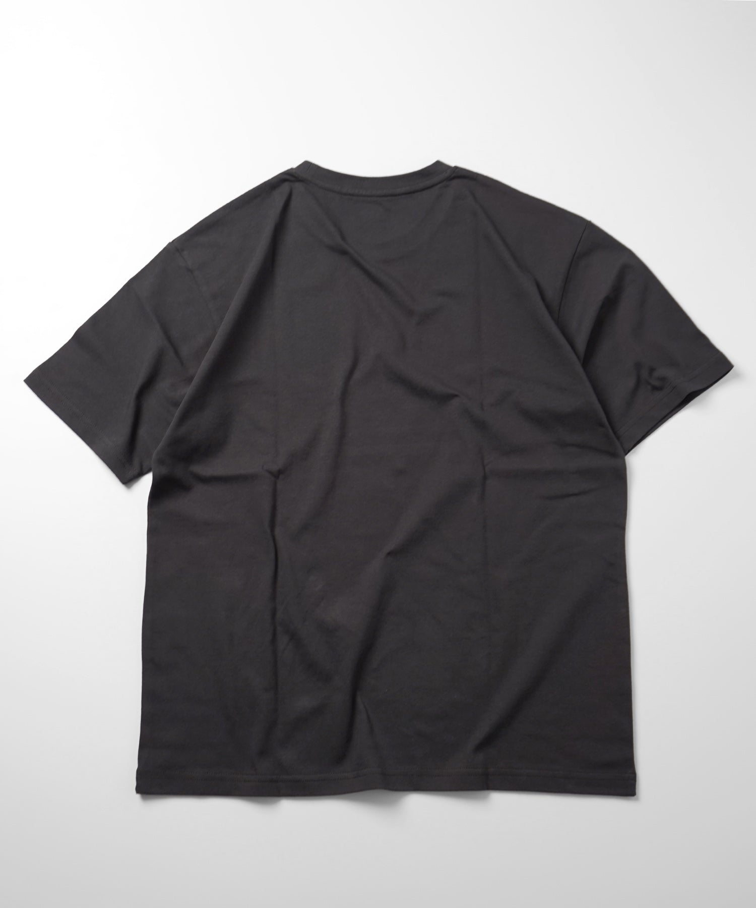 25SS プレーティング ベーシック パックT 半袖Tシャツ