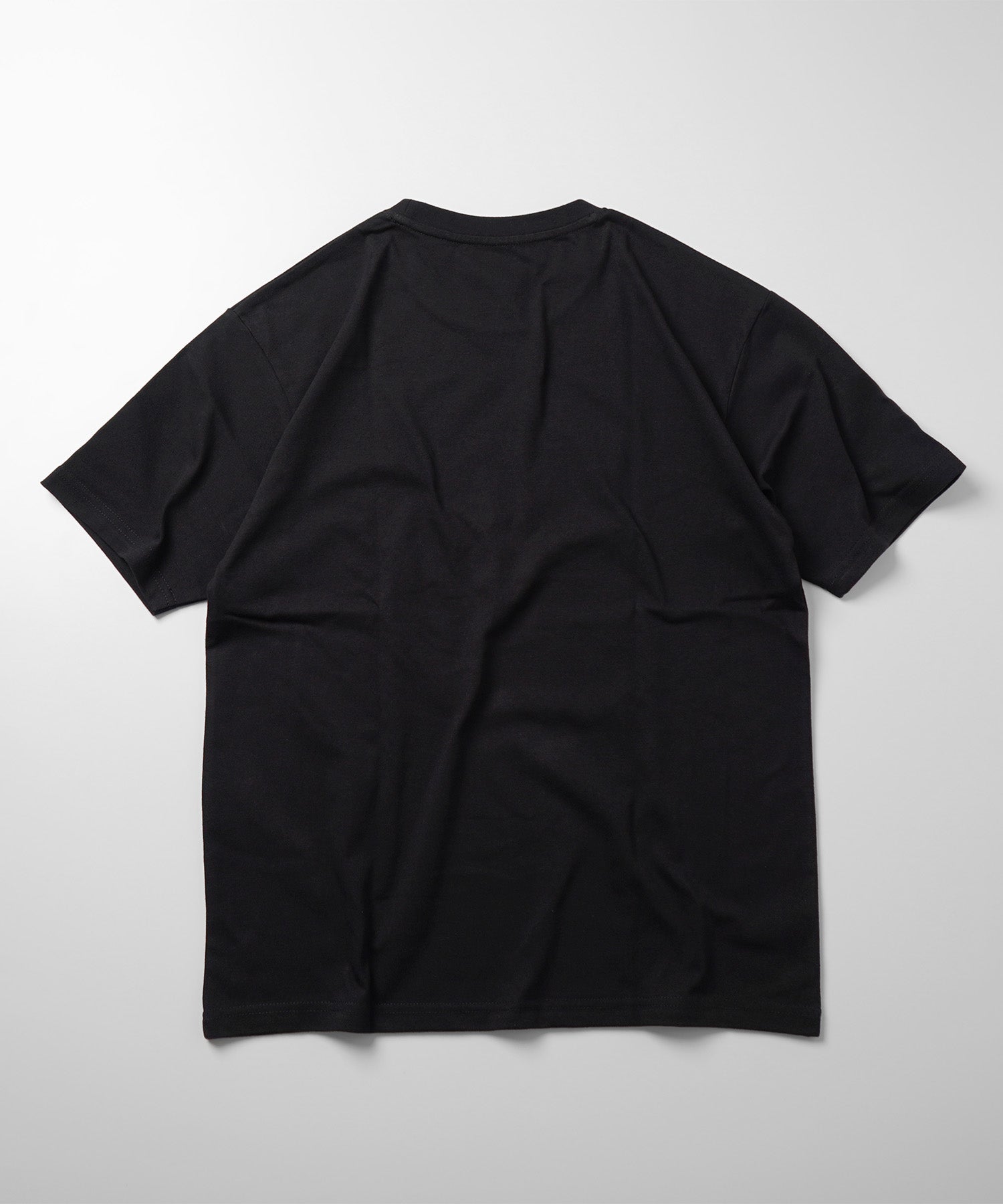25SS プレーティング ベーシック パックT 半袖Tシャツ