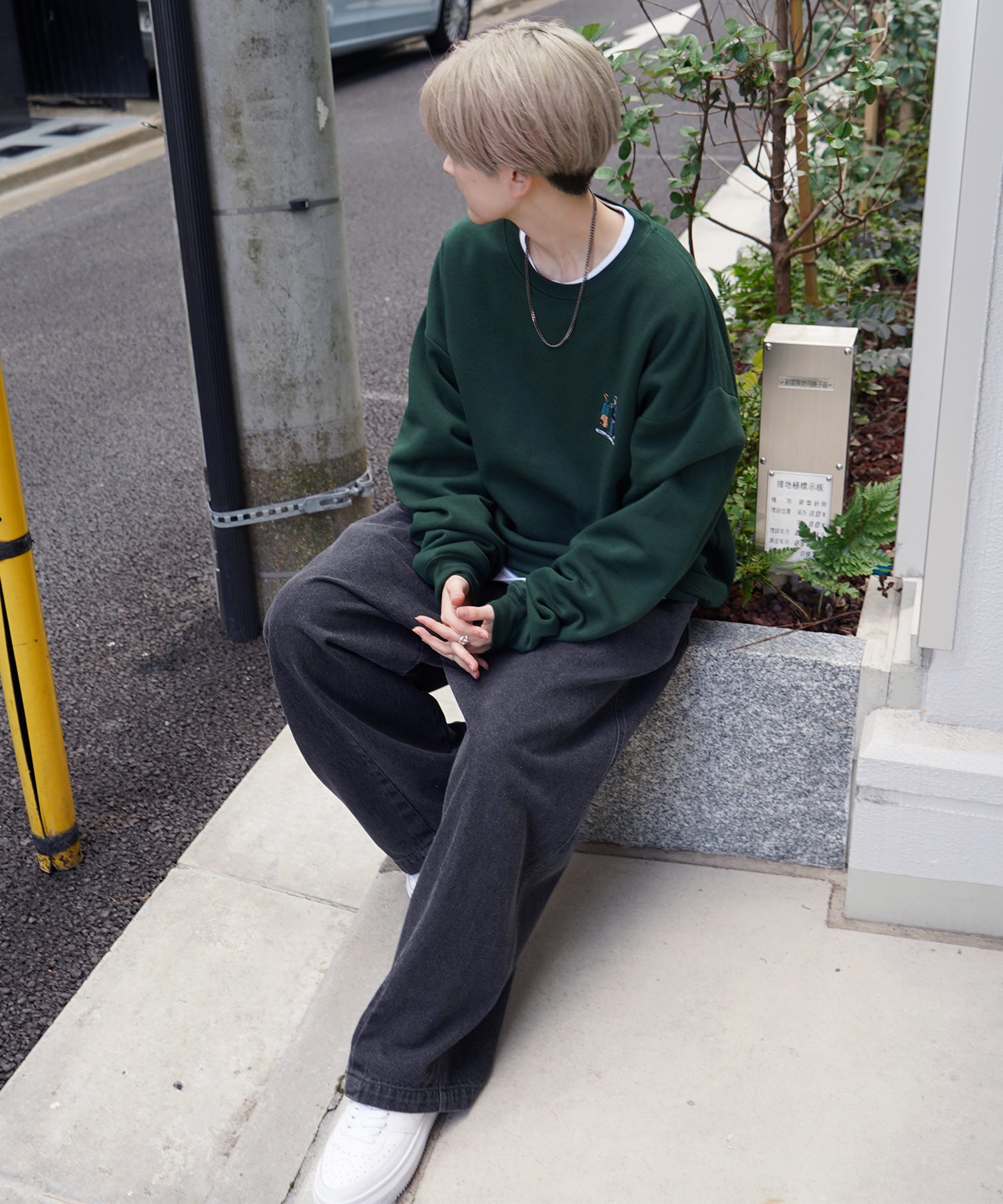 ウォーキング刺繡A ワンポイント刺繍ロゴ ビッグシルエット プルオーバースウェット