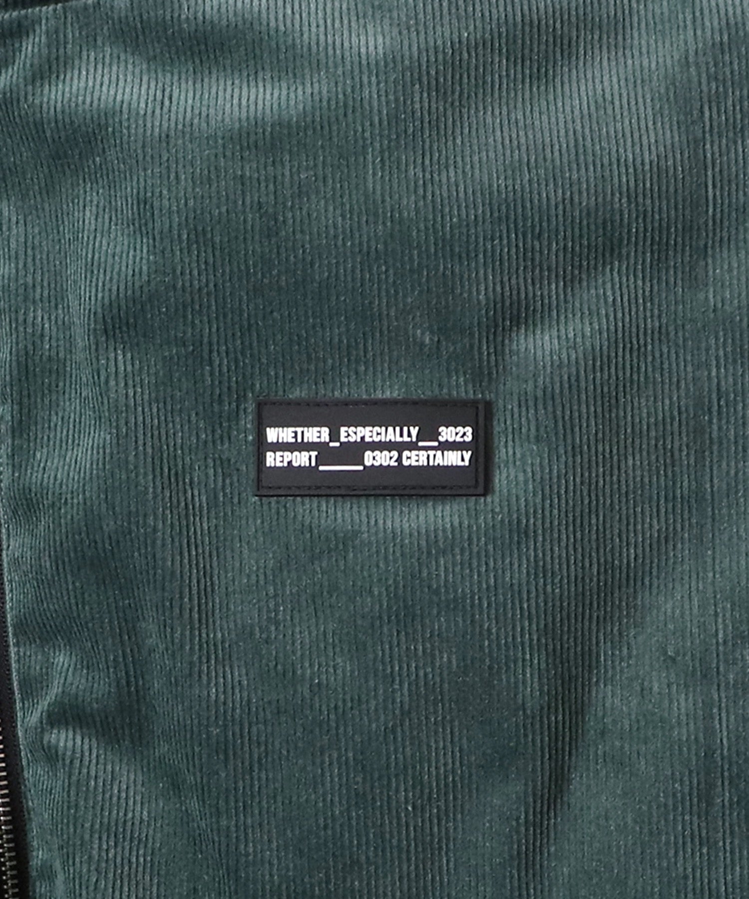 ビッグシルエット ラバーワンポイントロゴ コーデュロイ エコダウンジャケットフーディー