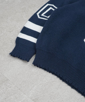 Y2K ロゴ ダメージ加工 Vネック ニット プルオーバー