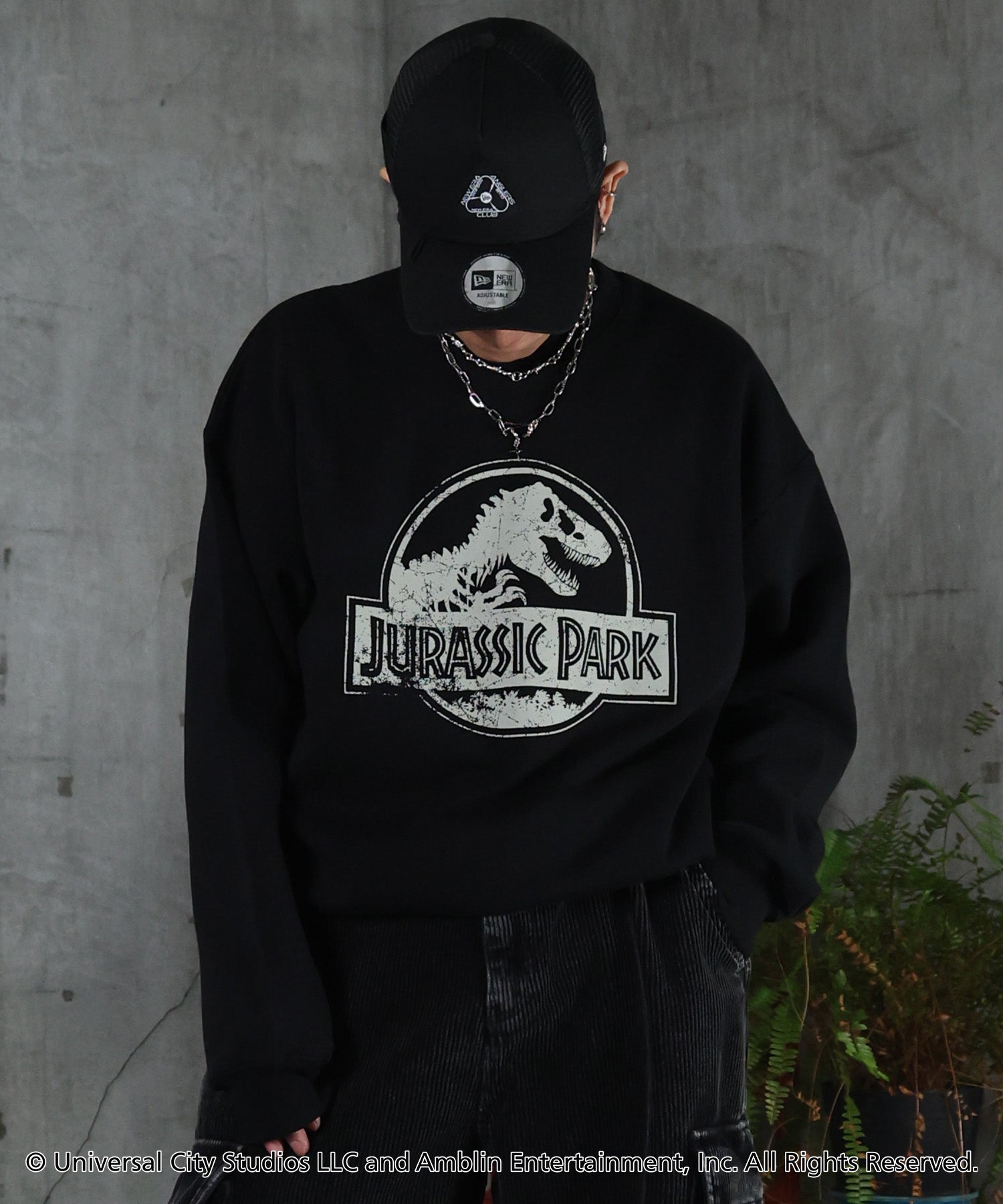 【Jurassic Park / ジュラシックパーク】ヴィンテージライク レトロ映画 プリントスウェット