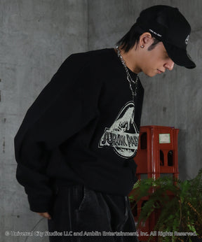 【Jurassic Park / ジュラシックパーク】ヴィンテージライク レトロ映画 プリントスウェット