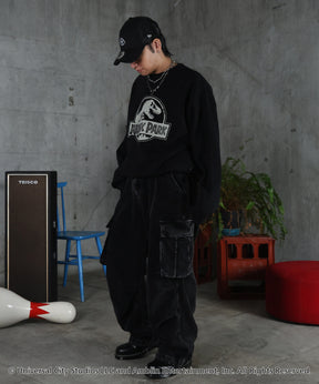 【Jurassic Park / ジュラシックパーク】ヴィンテージライク レトロ映画 プリントスウェット