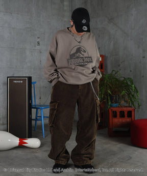 【Jurassic Park / ジュラシックパーク】ヴィンテージライク レトロ映画 プリントスウェット