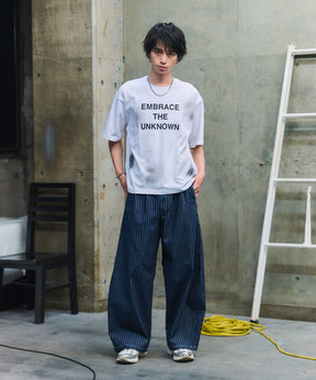 2-TUCK BACK EMBROIDERED STRIPE PANTS / ツータック バック刺繍 ストライプパンツ